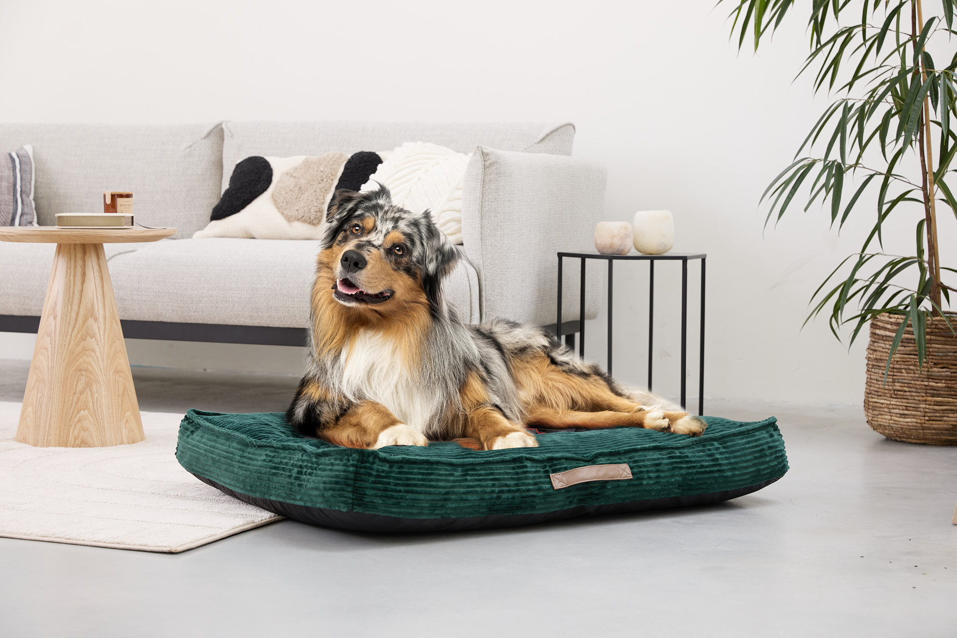 Lifa Living hondenkussen ribfluweel