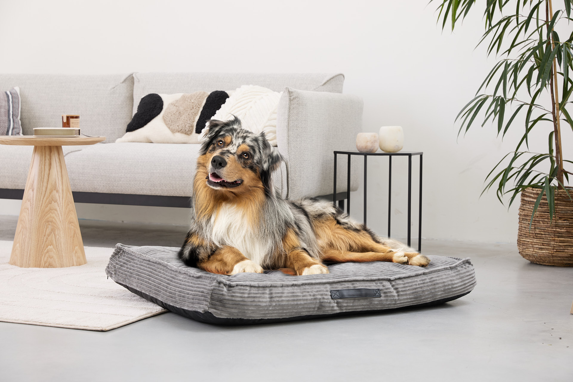 Lifa Living Hondenkussen ribfluweel - Grijs