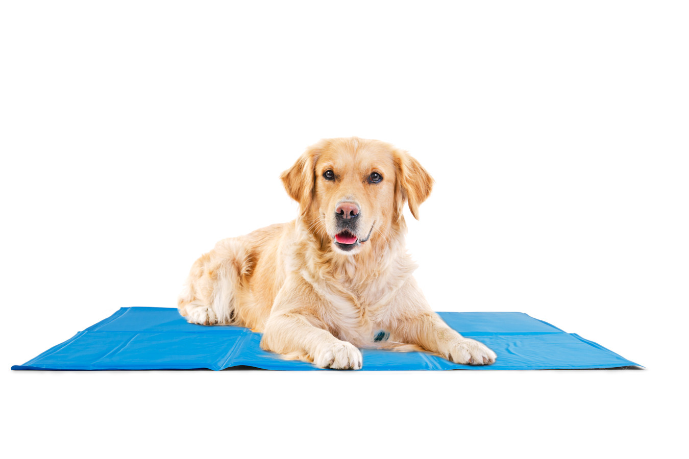 Mascot Online Pet Cooling Mat - 90 x 120 cm