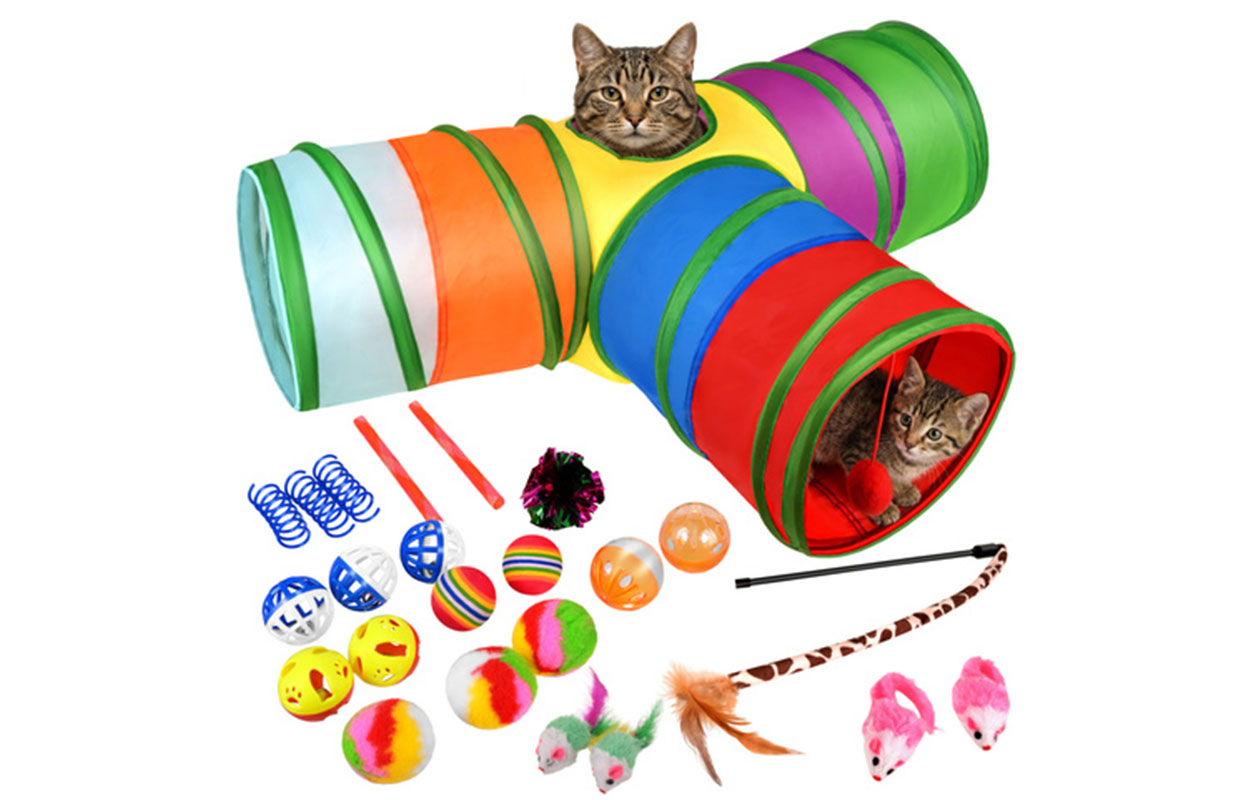 Purlov Kattenspeelgoed Set 24-delig