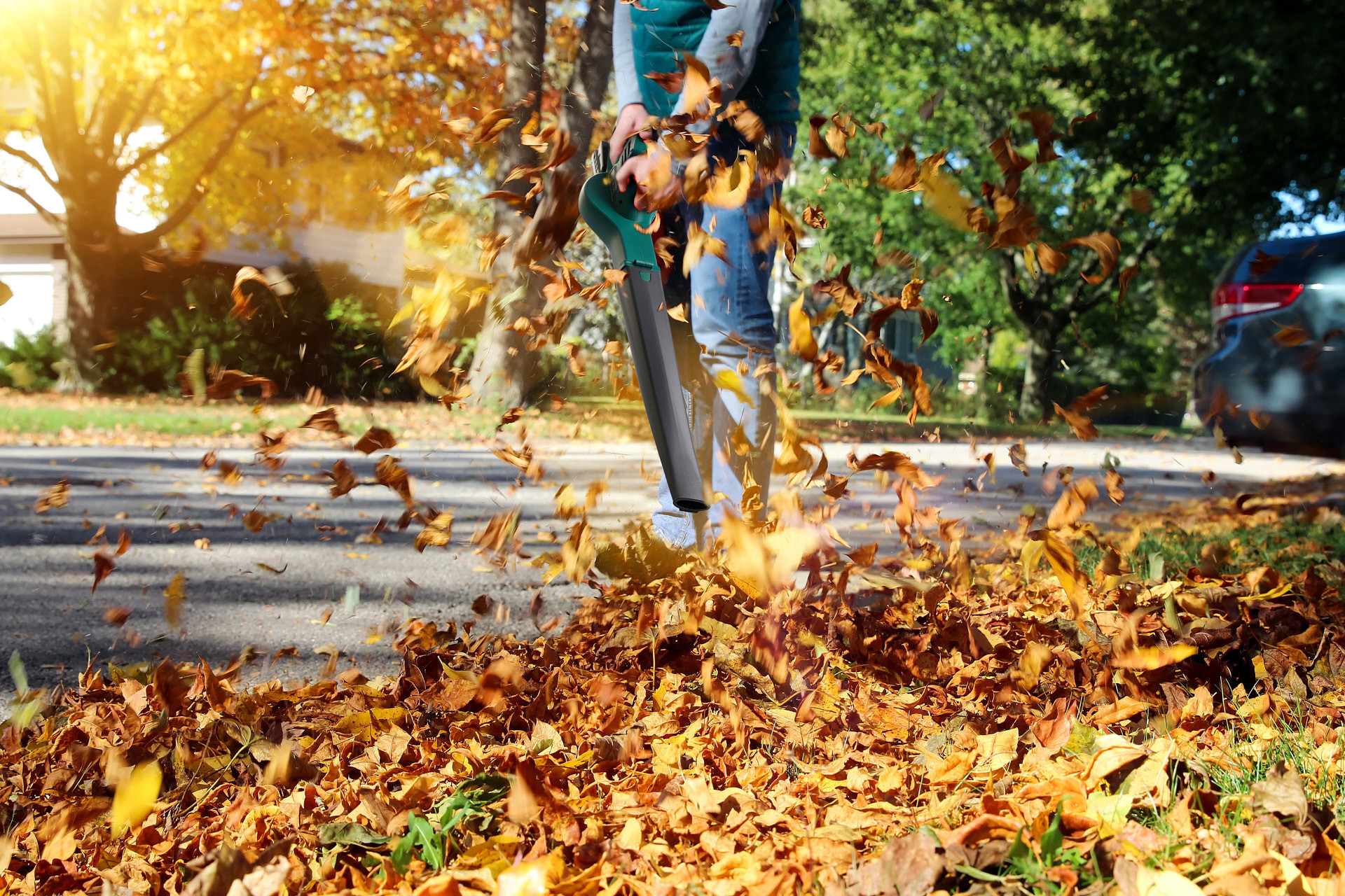 Wolfgang - Complete draadloze tuinset (20V)