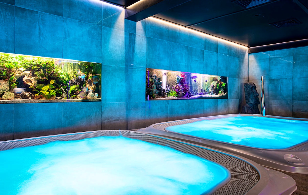 Dagentree Thermen Dilbeek in België (2p.)