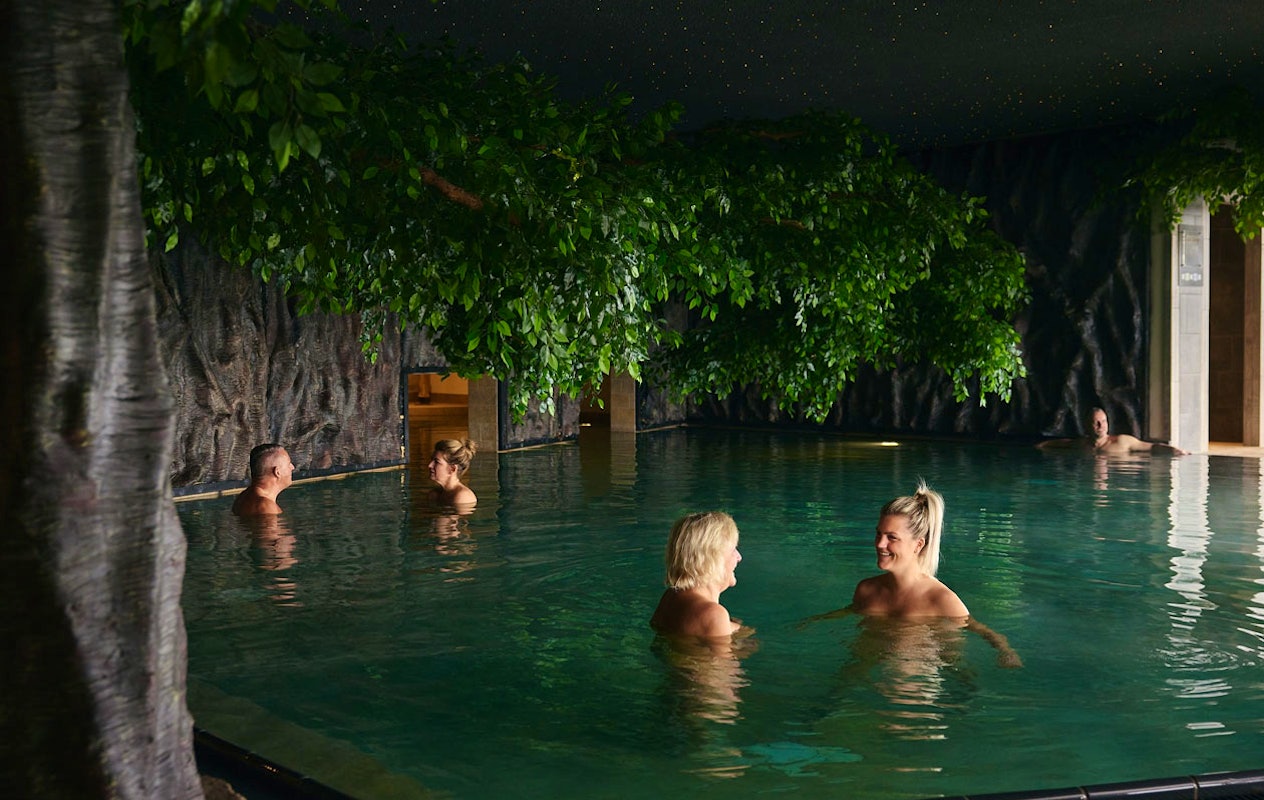 Dagentree Veluwse Bron (2p.)