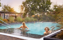 Dagentree Zwaluwhoeve (2p.)