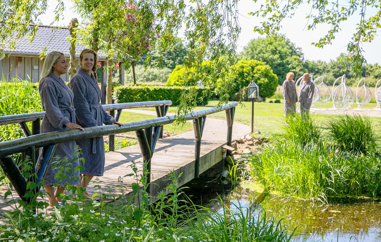 Dagentree Zwaluwhoeve (2p.)