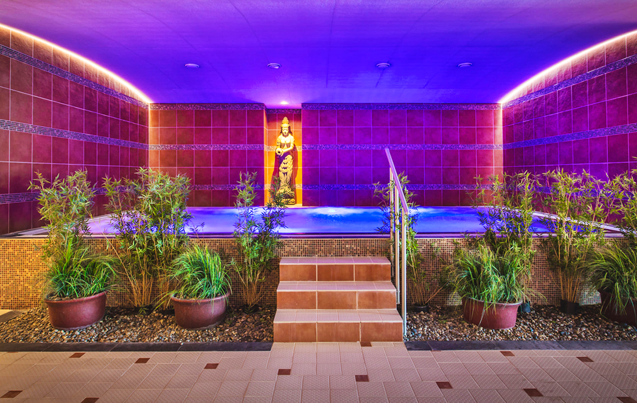 Entrée journalière aux Thermen Londerzeel en Belgique (2p.)