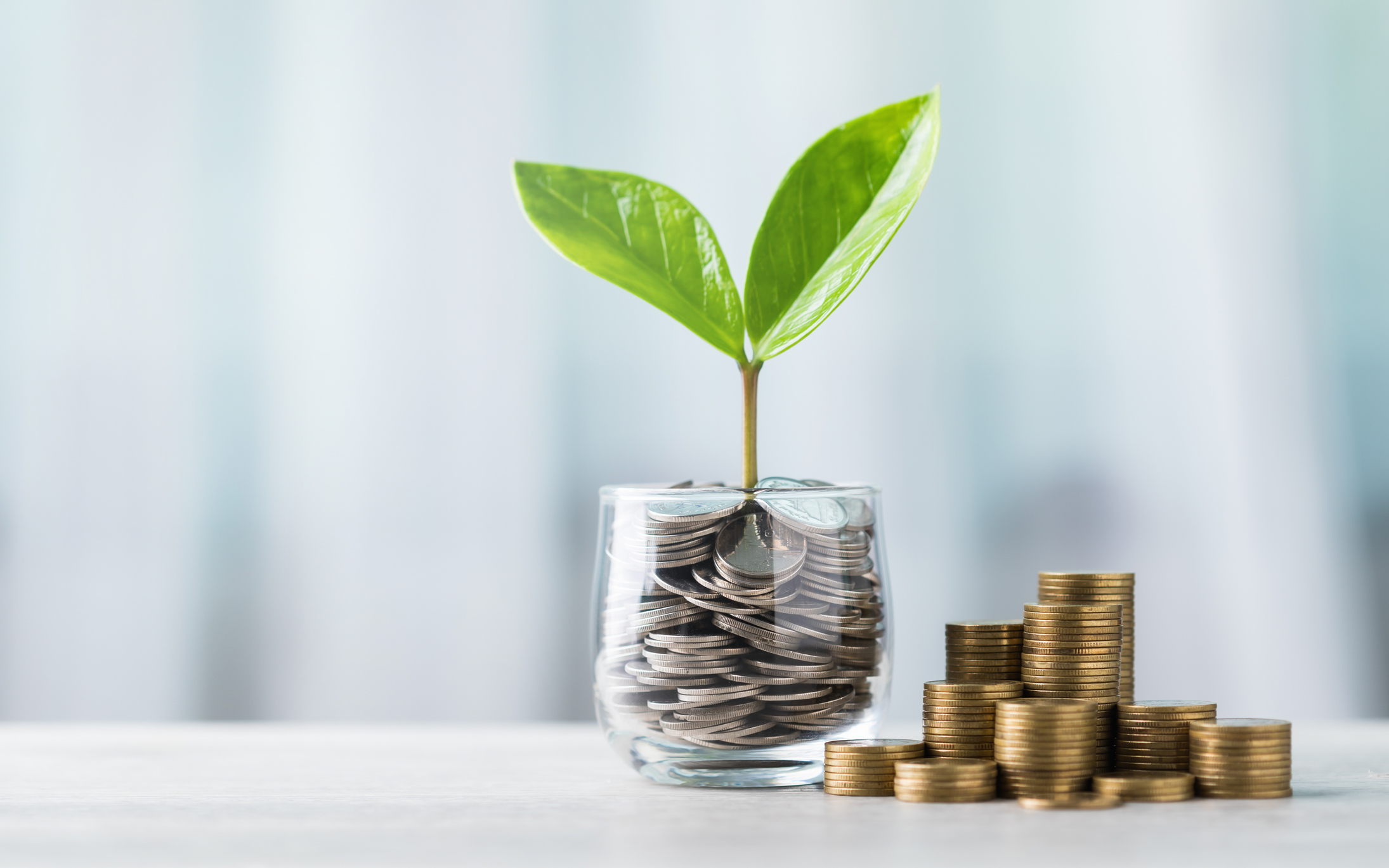 Slim besparen in huis: praktische tips voor elk budget 