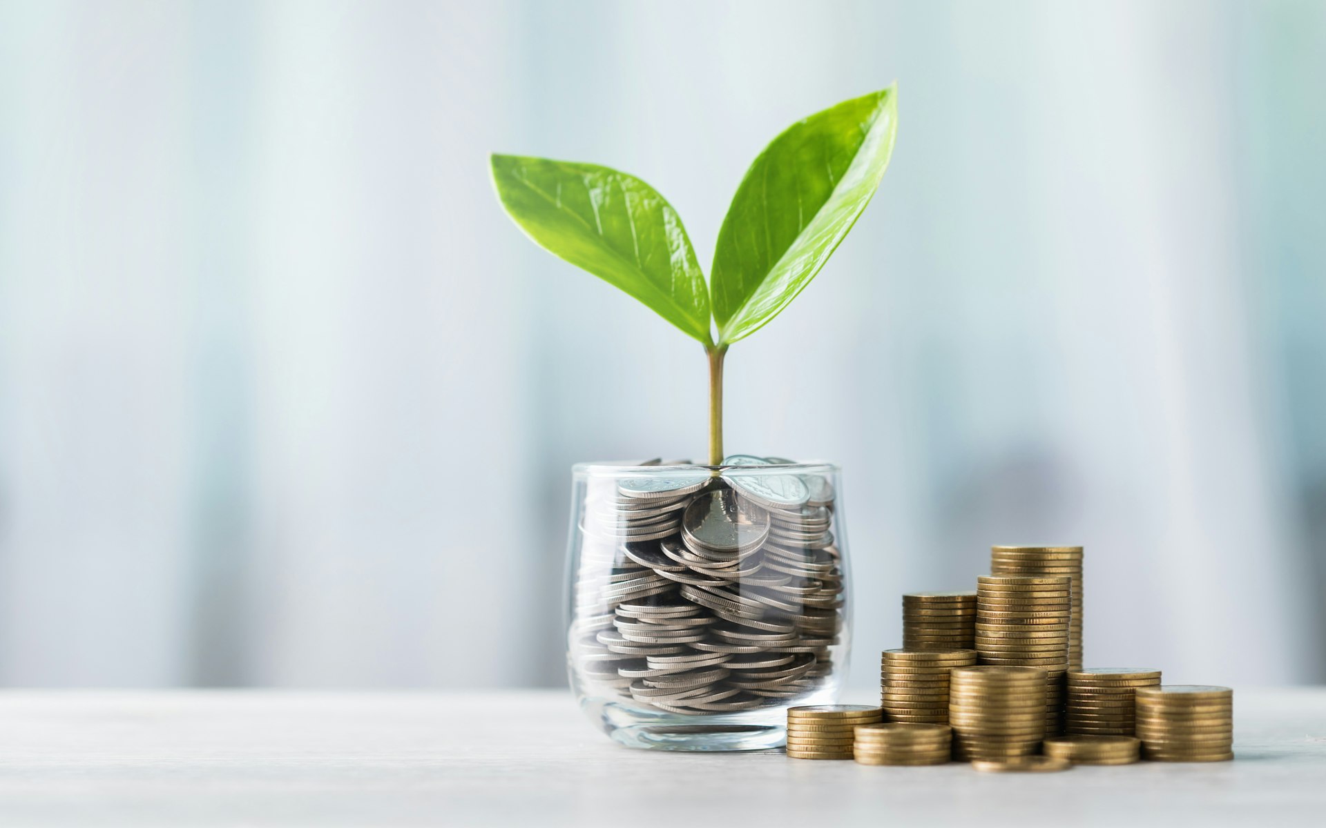 Slim besparen in huis: praktische tips voor elk budget 