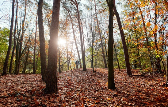 3 dagen Center Parcs met keuze uit 3 parken (2p.)
