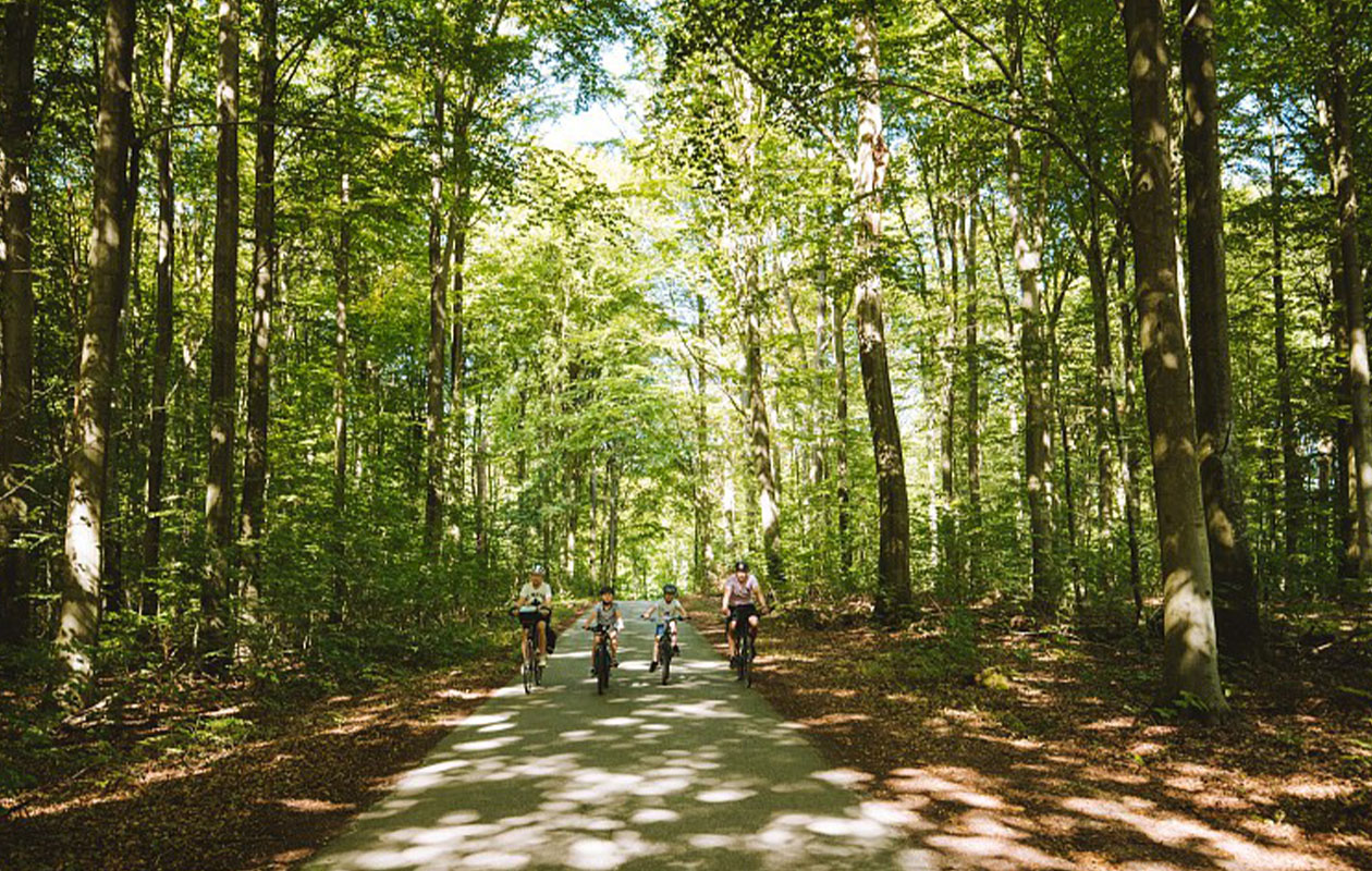 3 dagen Center Parcs op Vakantiepark De Huttenheugte (2p.)