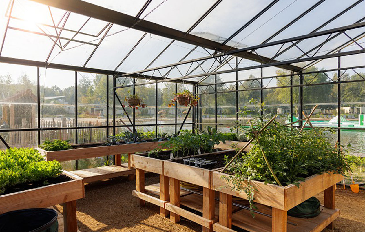 3 dagen Center Parcs op Vakantiepark De Huttenheugte (2p.)