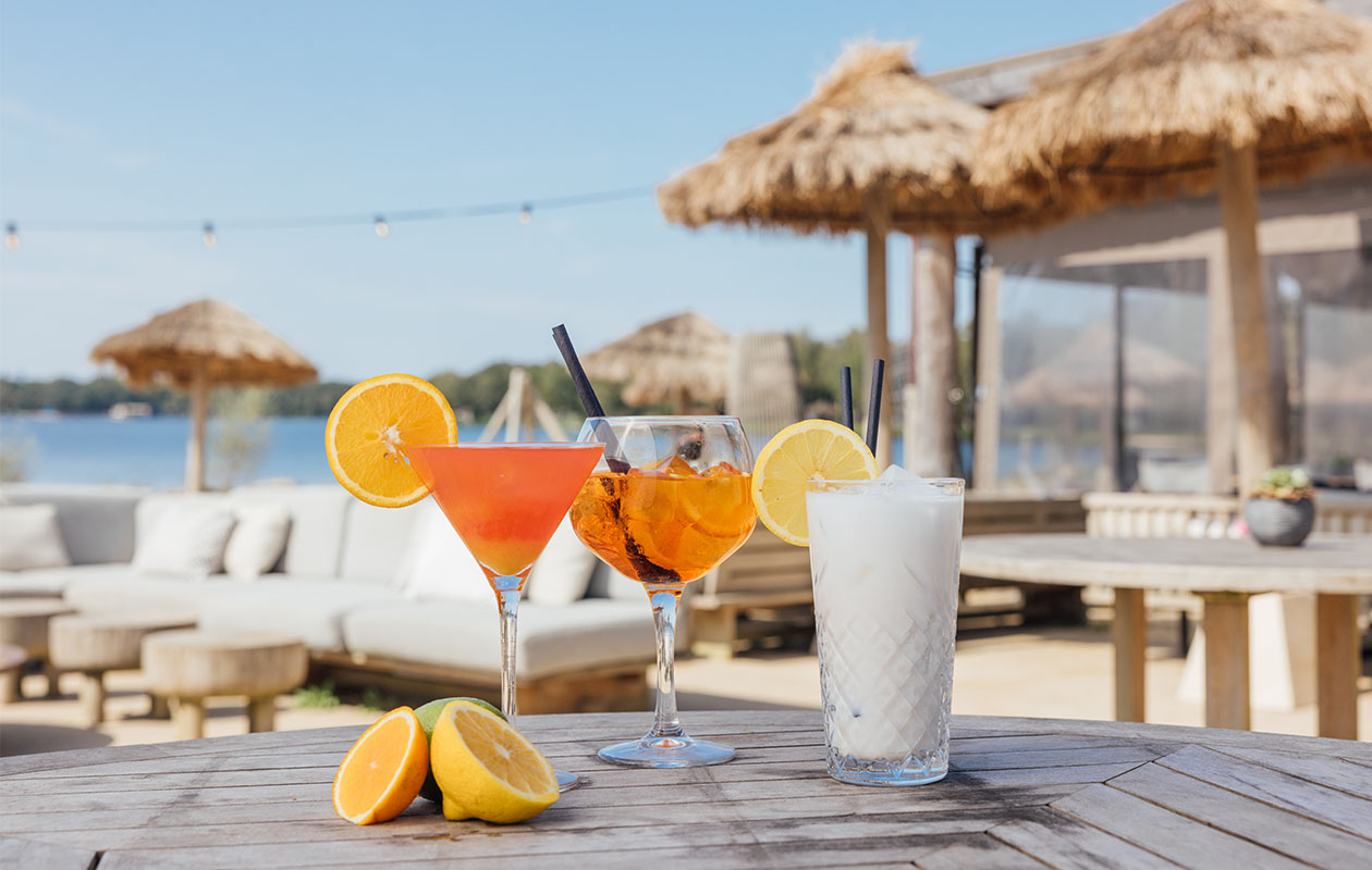 Weekend in een Jungalow Plus (6p.)