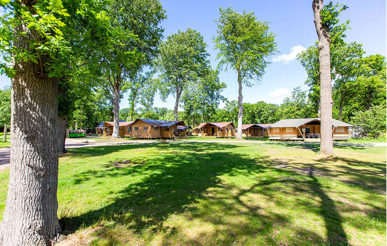 Verblijf in een 6-persoons Luxe Lodgetent op Vakantiepark Duinrell