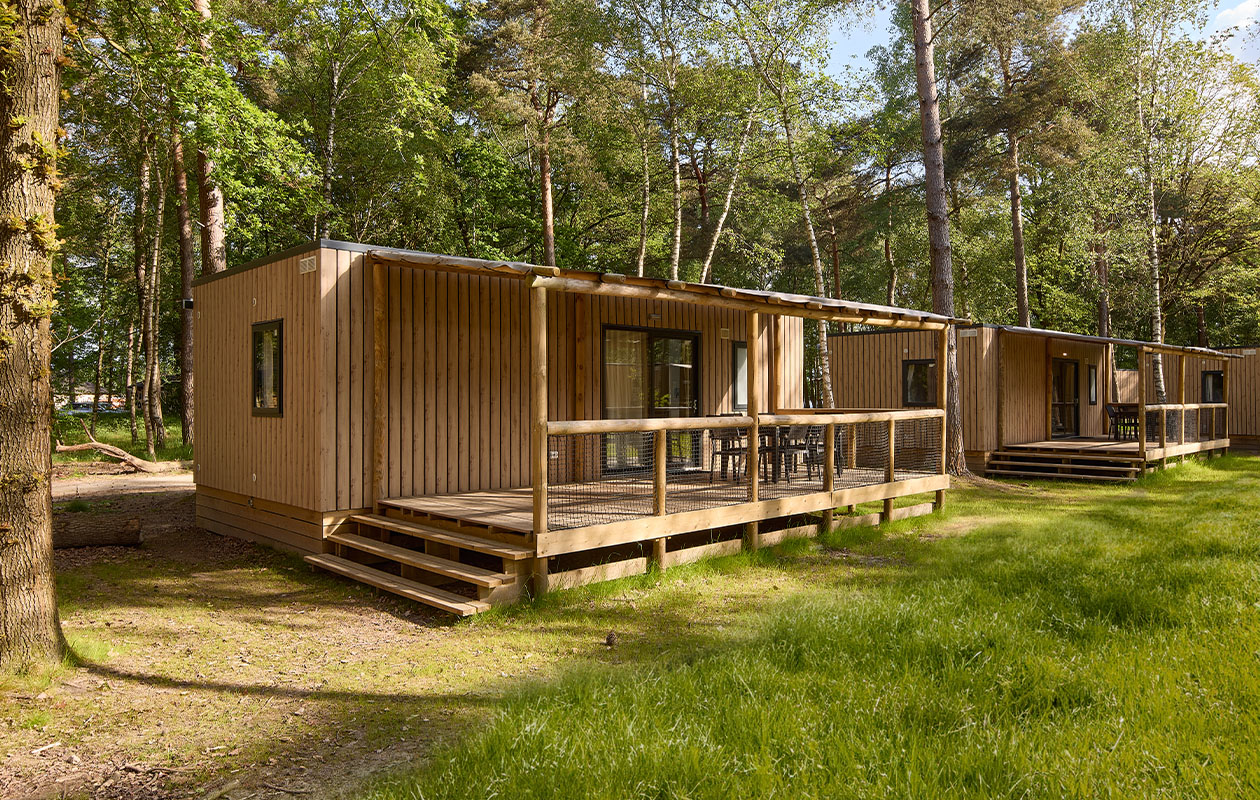 Midweek in een Forest Cabin bij Lake Resort Beekse Bergen voor 2 tot maximaal 4 personen