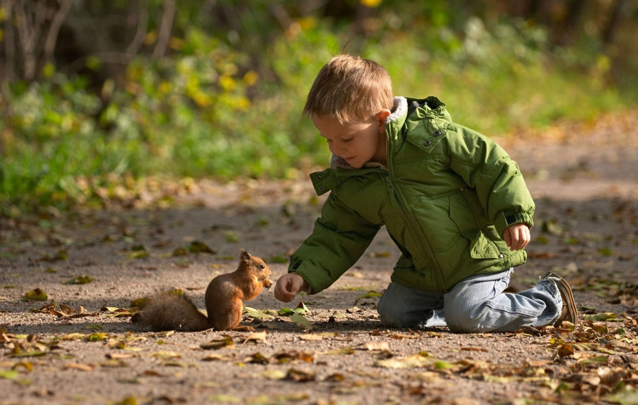 Oostappen Vakantiepark Arnhem sur la Veluwe
