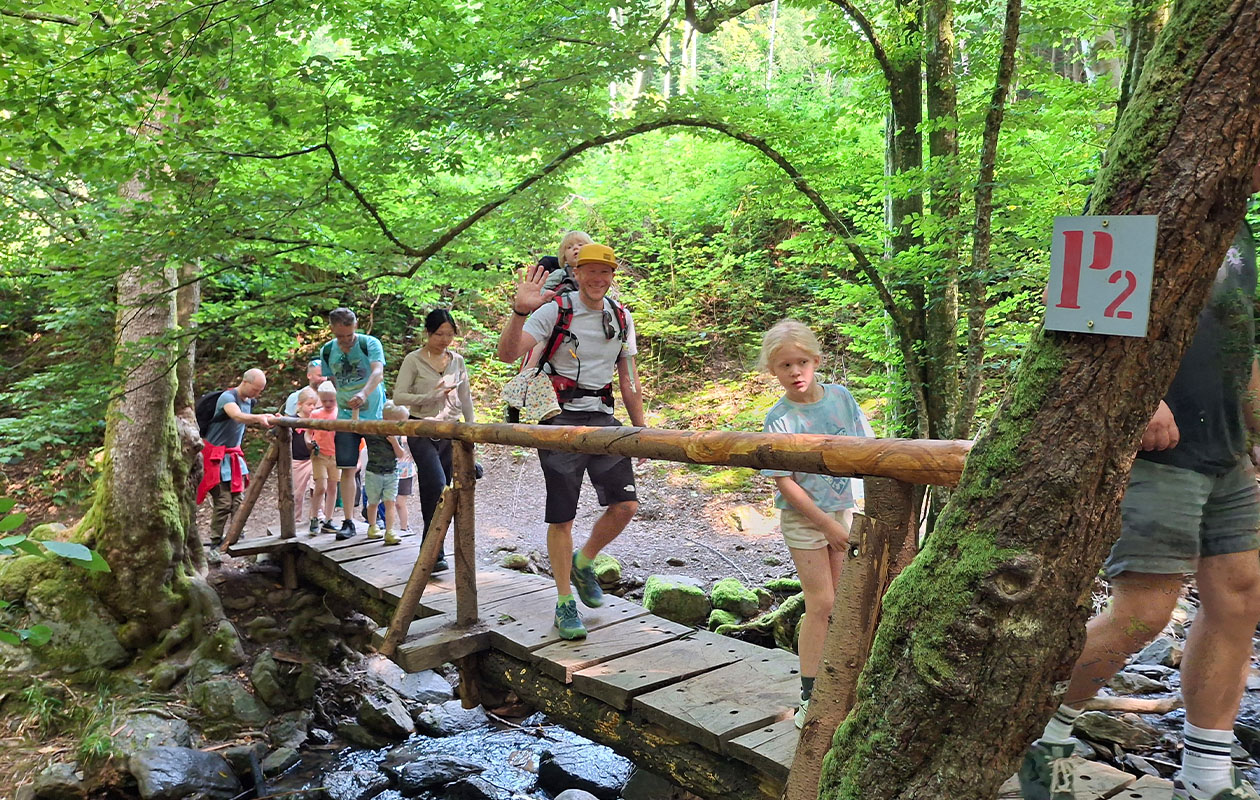 Juni - September 2026: verblijf in een Safaritent in de Belgische Ardennen
