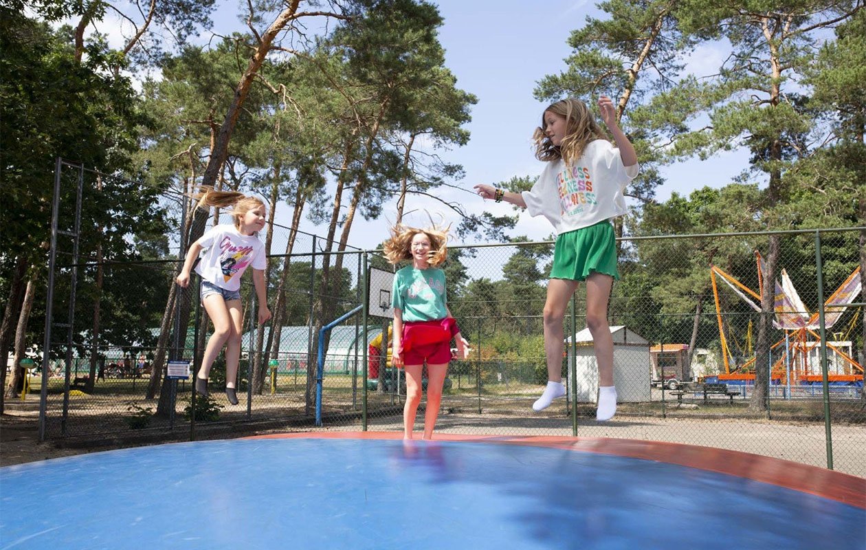 Verblijf deze zomer op Vakantiepark Arnhem op de Veluwe