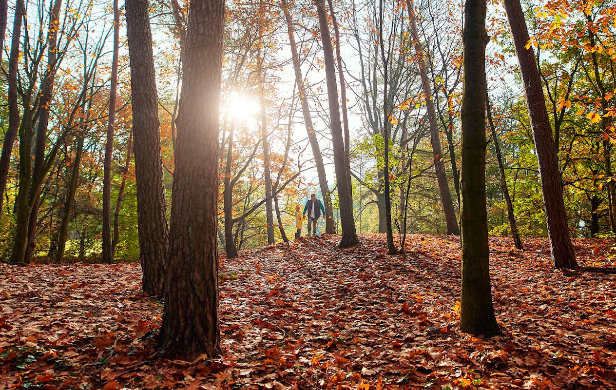 Tot 35% korting op je verblijf bij Center Parcs
