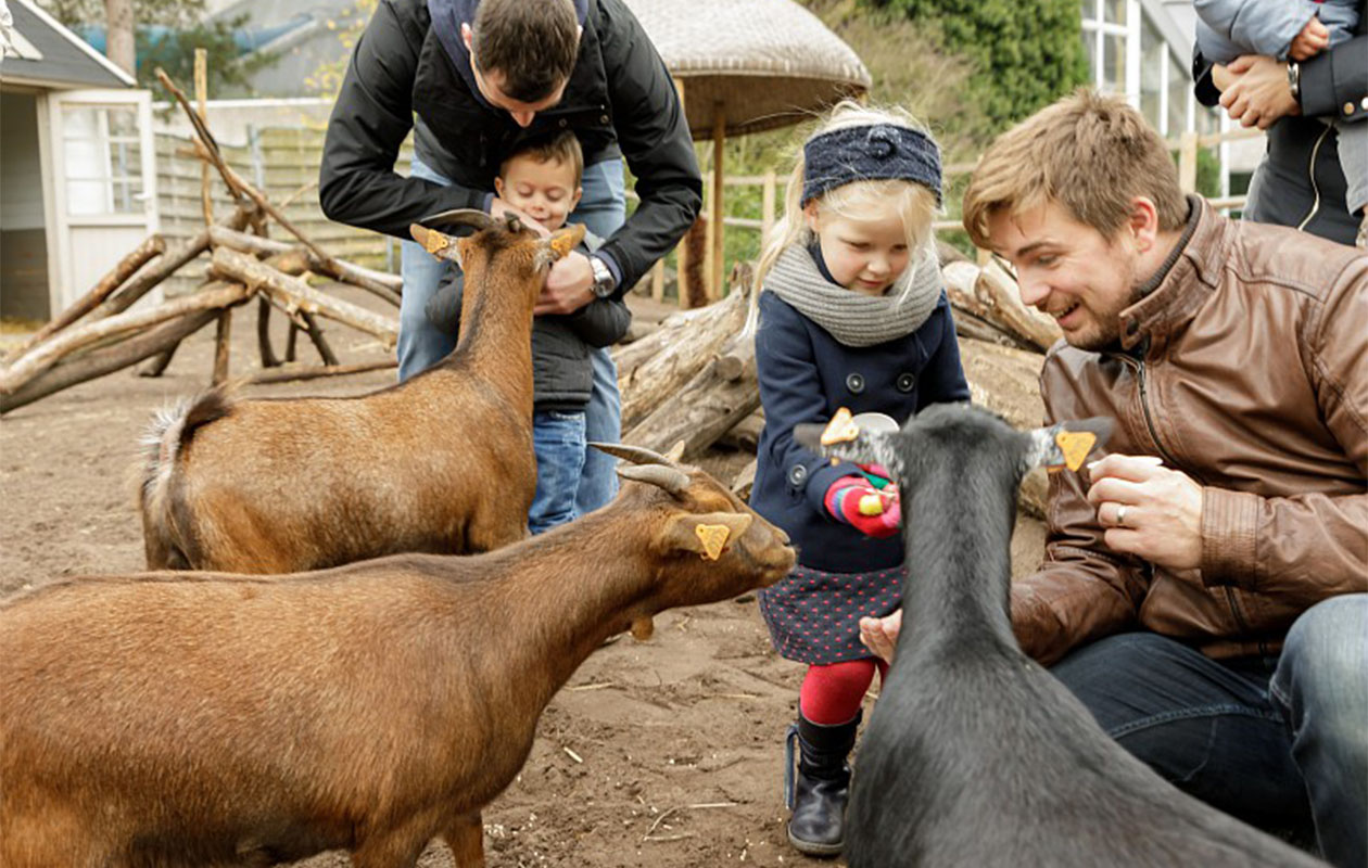 Sunparks kortingsvoucher – tot 30% korting op jouw verblijf!