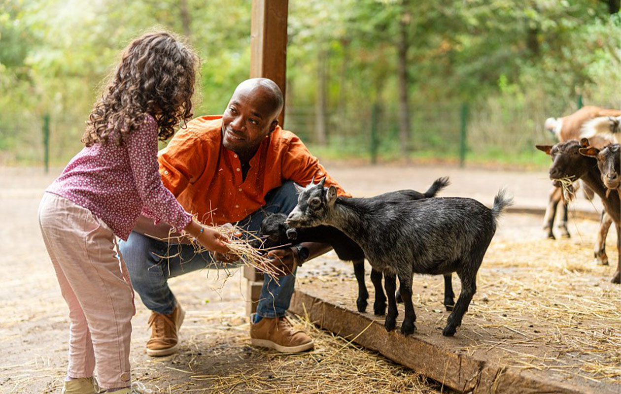 Sunparks kortingsvoucher – tot 30% korting op jouw verblijf!