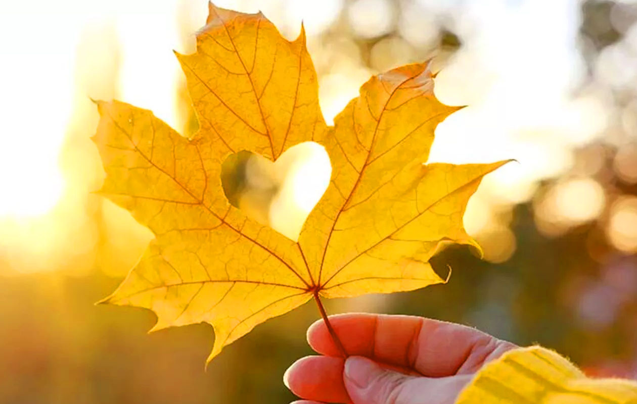 €50 korting op een verblijf bij RCN Vakantieparken