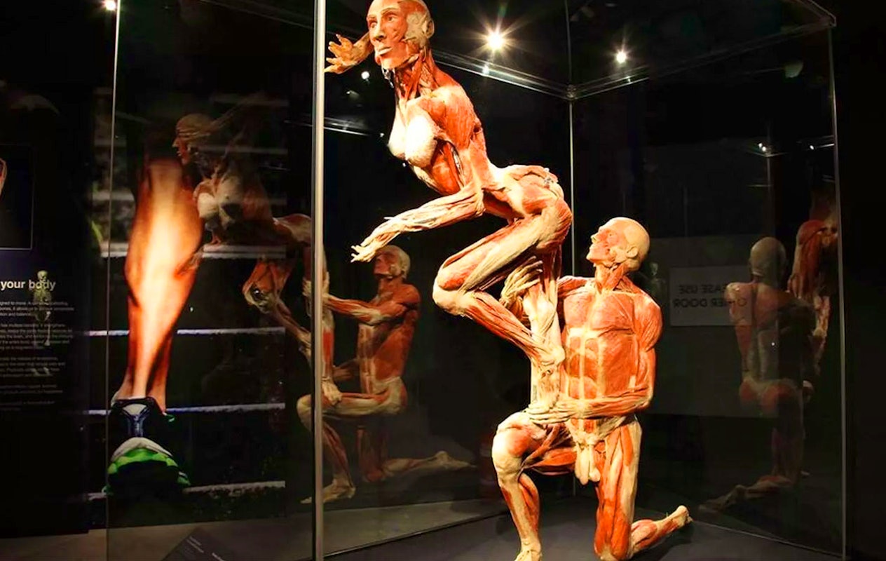 Ticket Body Worlds Amsterdam (2p.)