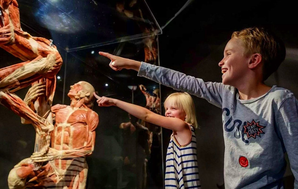 Ticket Body Worlds Amsterdam (2p.)
