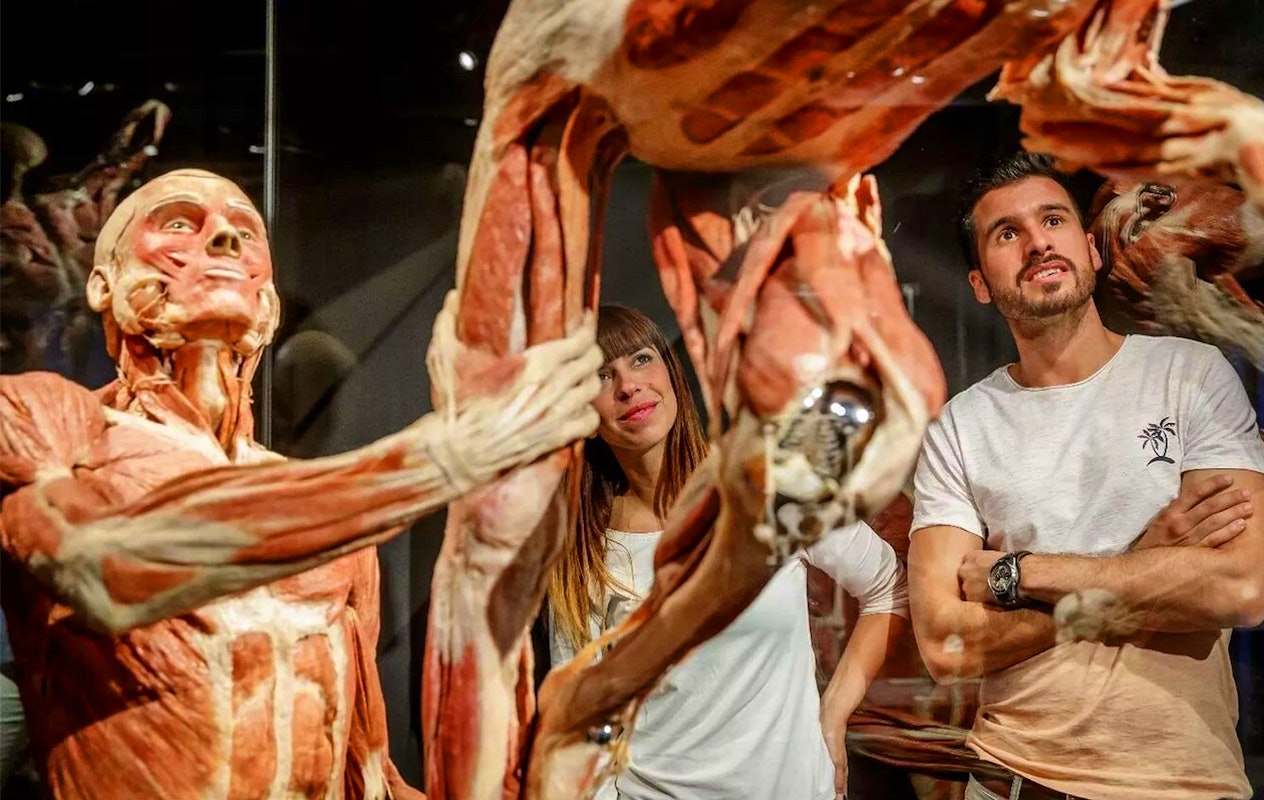 Ticket Body Worlds Amsterdam (2p.)