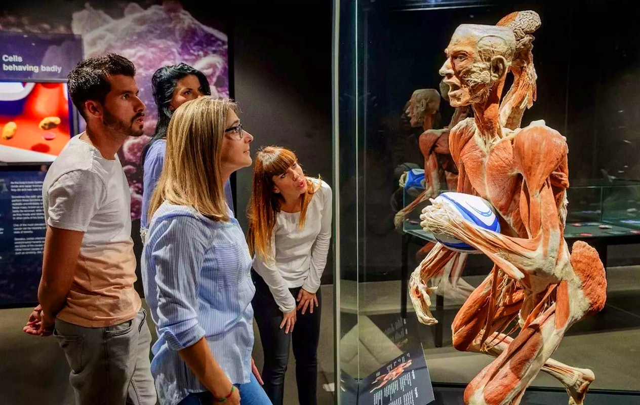 Ticket Body Worlds Amsterdam (2p.)