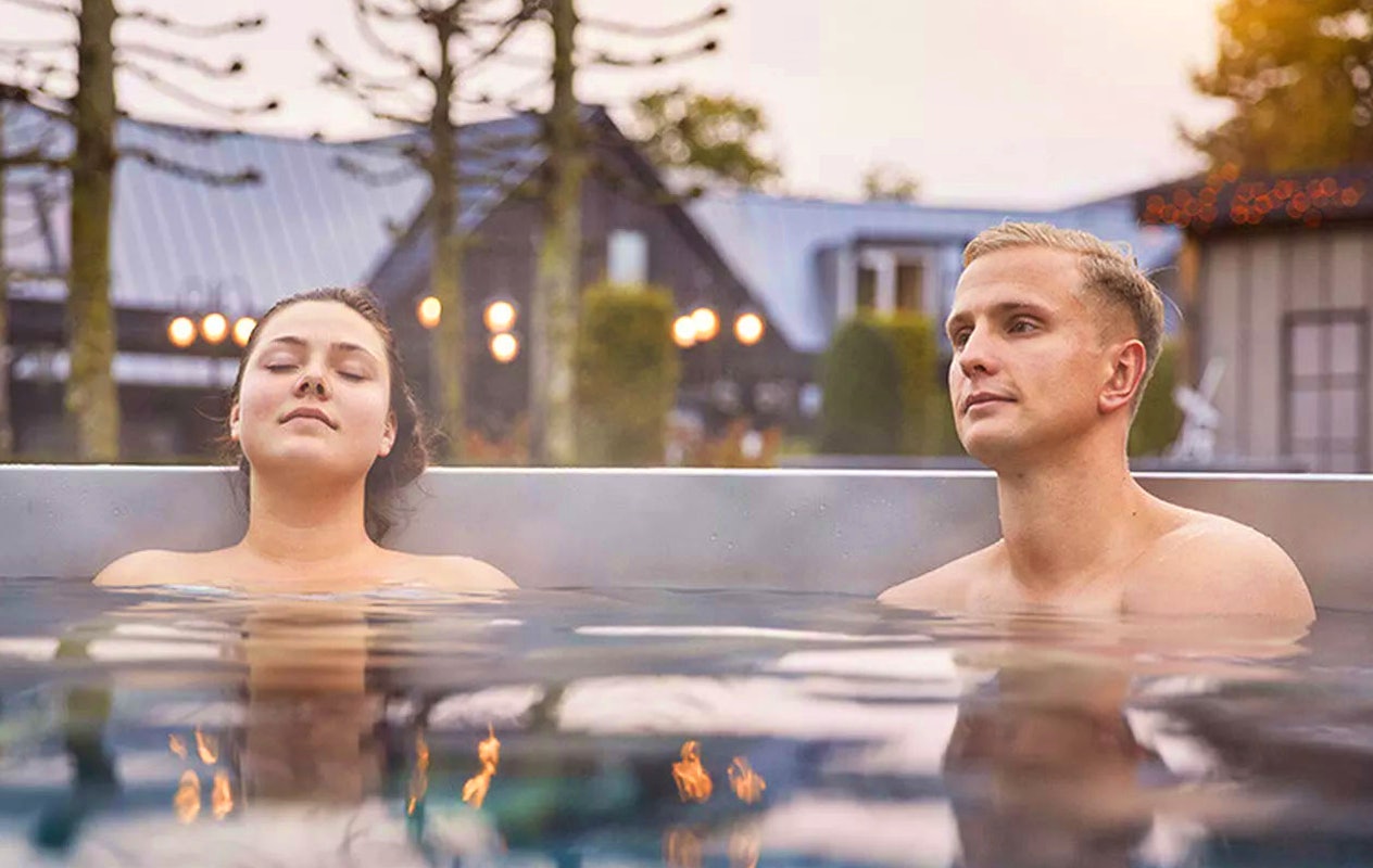 Dagentree Zwaluwhoeve (2p.)