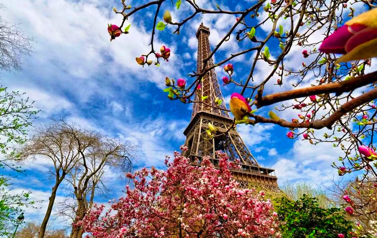 Dagtocht Parijs met Slangen Reizen (2p.)