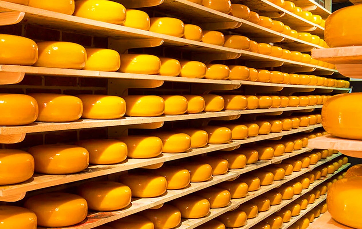 Gouda jong kaaswiel van Henri Willig 3,6 kg (48+)