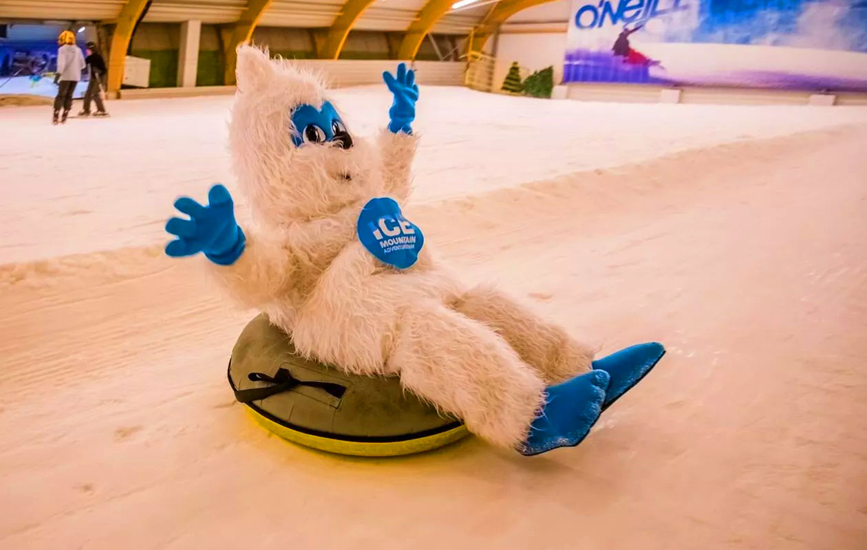 Hele dag skiën of snowboarden bij Ice Mountain (2p.)
