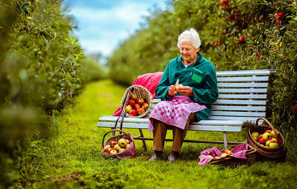 Oma's brievenbus taart of cake