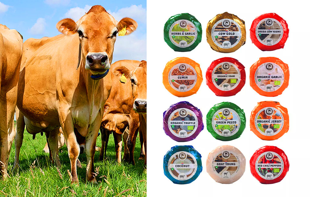 Pakket met 12 babykaasjes van Henri Willig