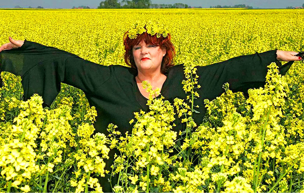 Ticket Helemaal Hollandsch in Leeuwarden (2p.)