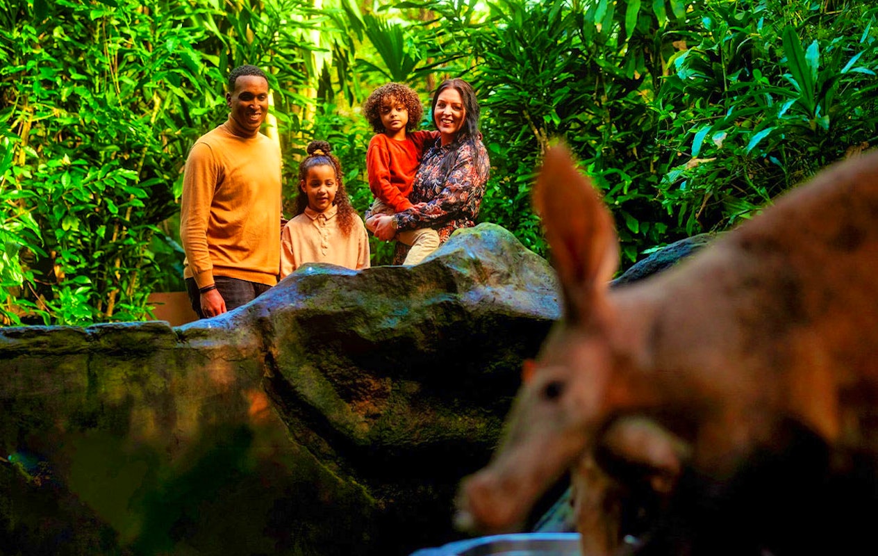 Ticket pour le Zoo Royal de Burgers (2p.)