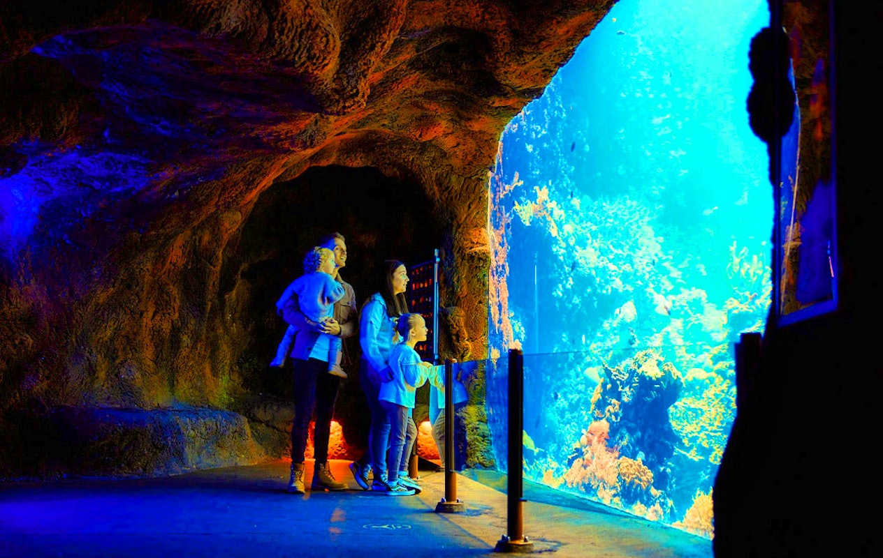 Ticket pour le Zoo Royal de Burgers (2p.)