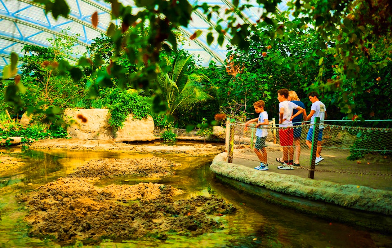 Ticket pour le Zoo Royal de Burgers (2p.)