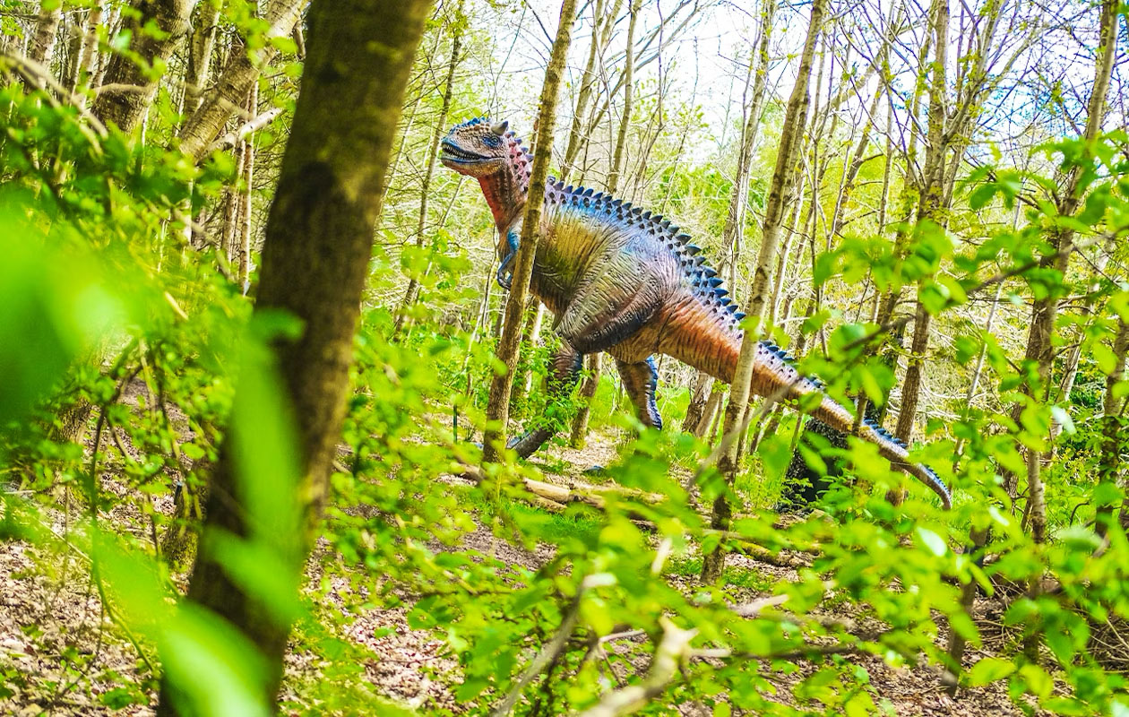 Ticket Landgoed Tenaxx (2p.)