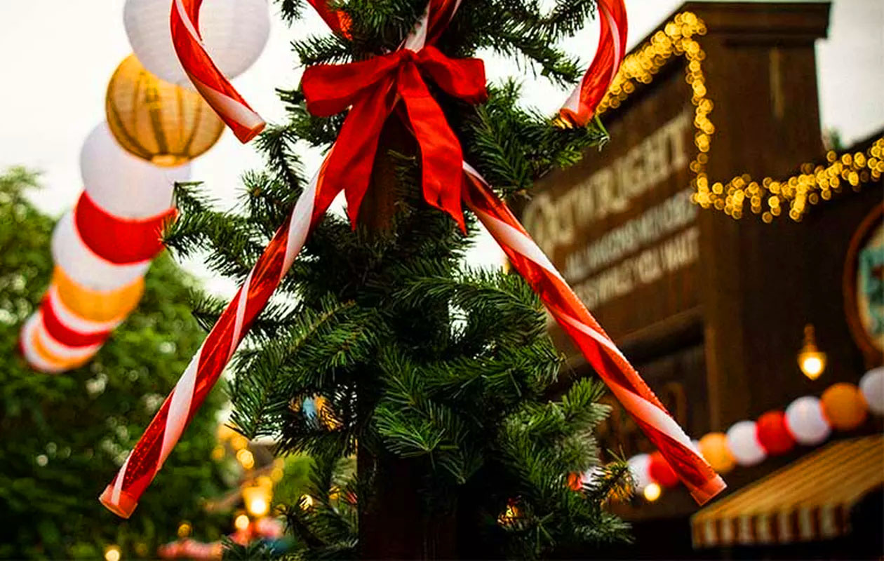 Ticket attractiepark Slagharen winter (2p.)