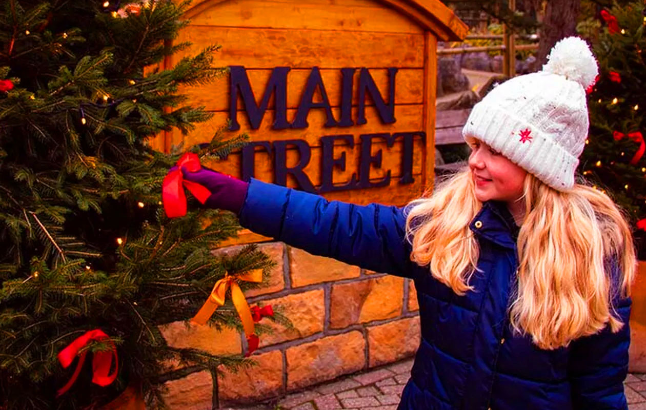 Ticket attractiepark Slagharen winter (2p.)