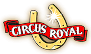 Ticket Dordts Wintercircus Royal (2p.)