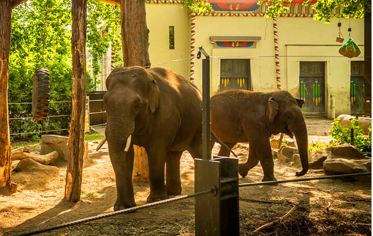 Billets pour le zoo d'Anvers ou le zoo de Planckendael (2p.)