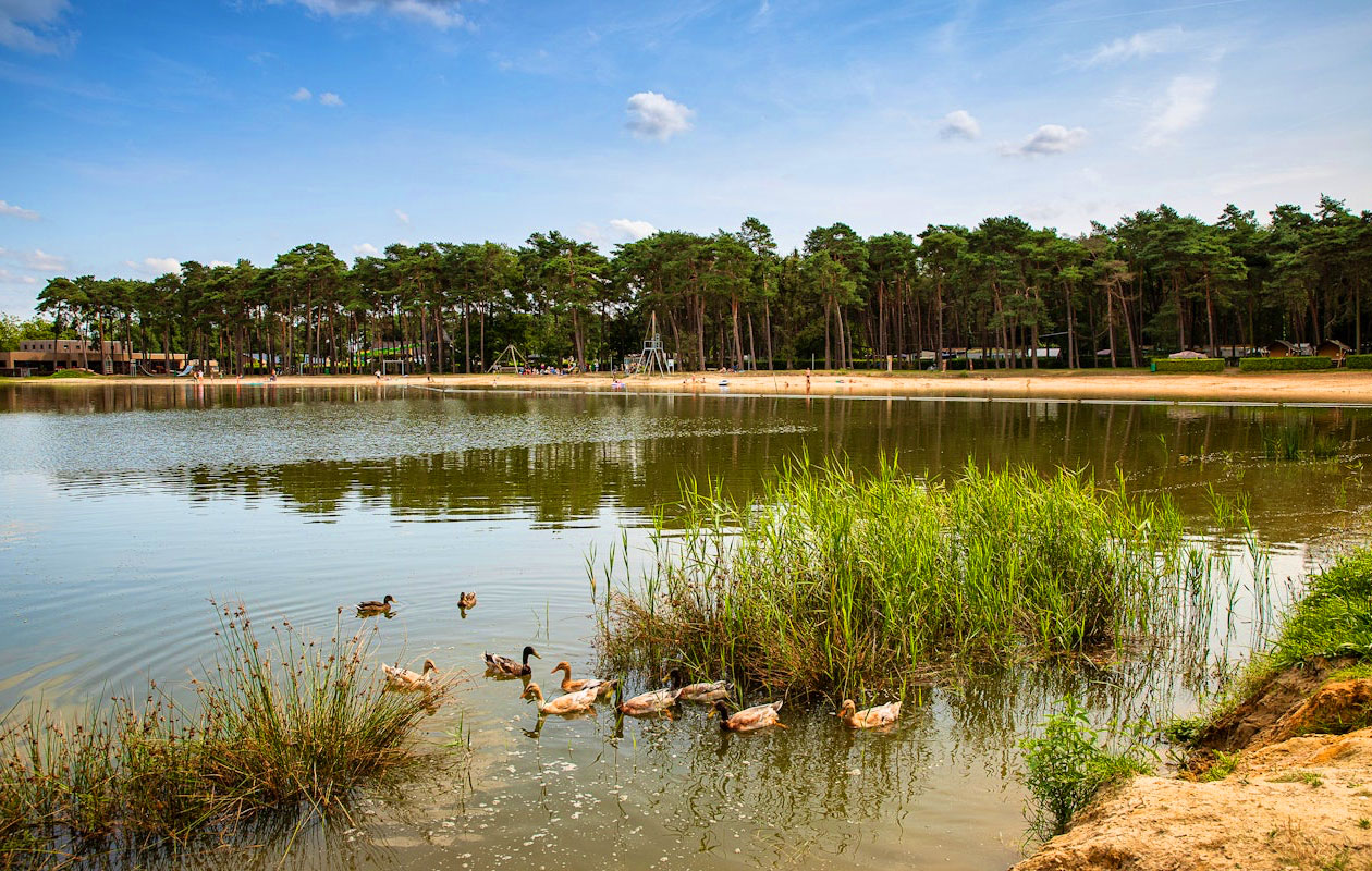 Waardebon van €100,- voor Glamping Voucher