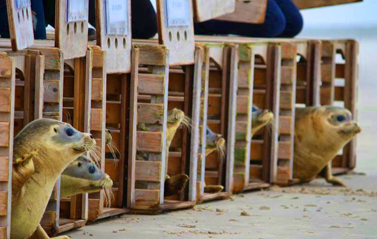 Zeehondencentrum Pieterburen (2p.)