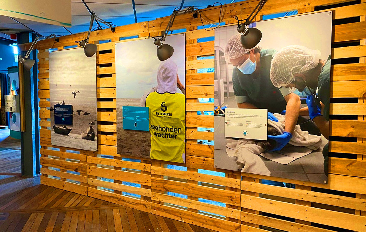 Zeehondencentrum Pieterburen (2p.)