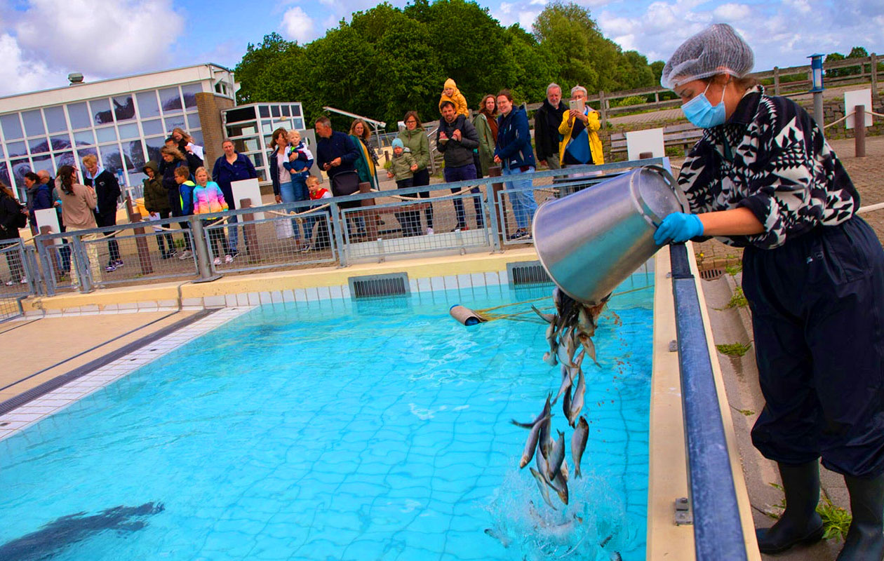 Zeehondencentrum Pieterburen (2p.)